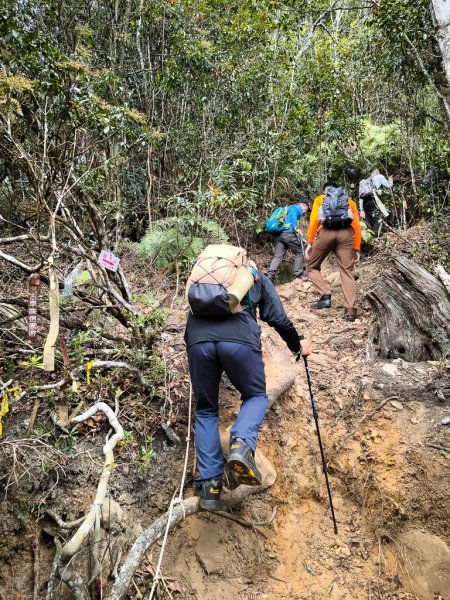 2026-01-18 埔里關刀山2989586