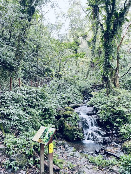 20250329 抹茶山-聖母登山步道2758937
