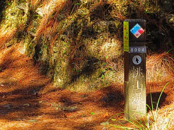 如童話般的森林步道-武陵桃山瀑布步道1190790