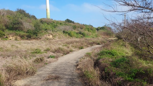 2022.01.27海口山_外埔庄_下大山腳_大山1600745