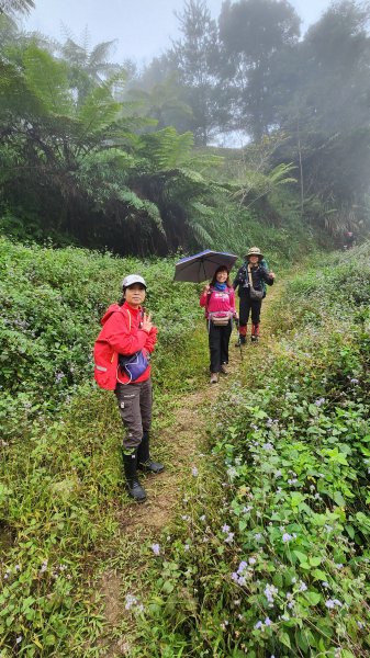 111/12/18藤枝森林園區東藤枝山、藤枝山1979578