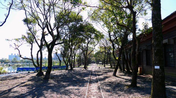 羅東運動公園2690168