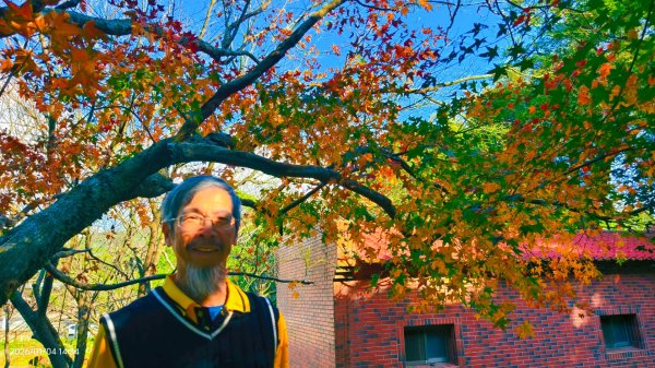 #花卉試驗中心 #永公路500巷 #平菁街42巷 #原住民公園 #士林官邸 1/42976640