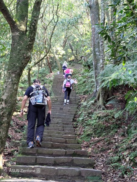 【台北市北投區】七星山主峰(苗圃登山口、小百岳002)2291925