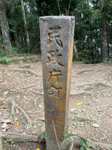 原始密林-向天湖山與光天高山11103151643742