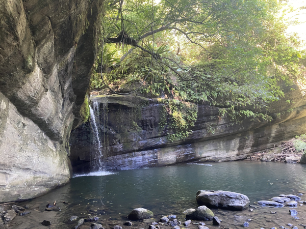 2025微笑山線大縱走尋寶集章任務-Ep.12【五分山系】望古瀑布段