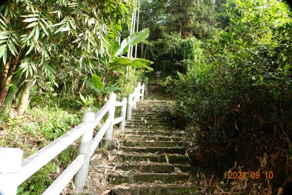 南投 鹿谷 尖子頂山(麒麟山)1841767