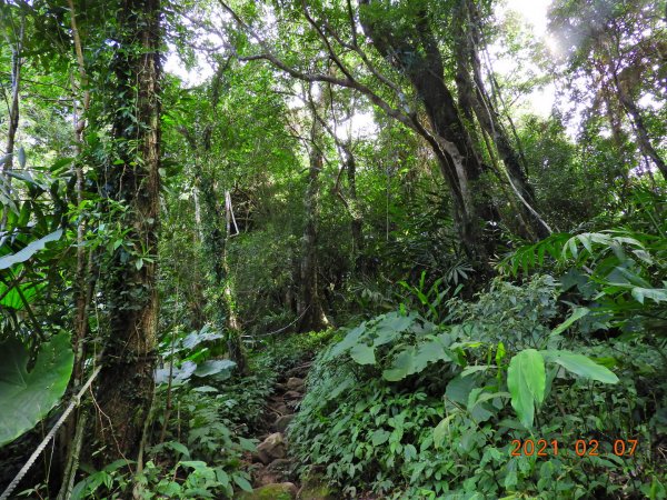 臺東 東河 都蘭山1262100