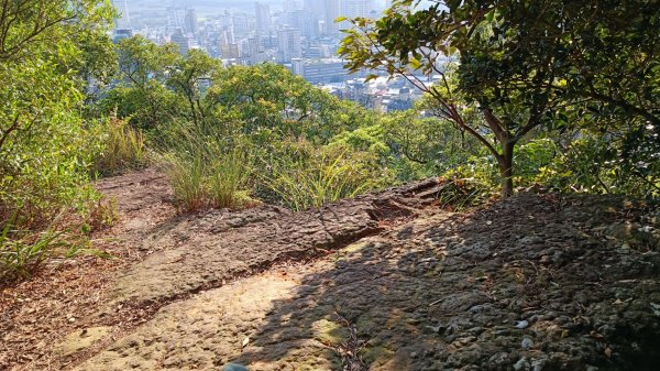 百大：軍艦岩、丹鳳山親山步道1782430