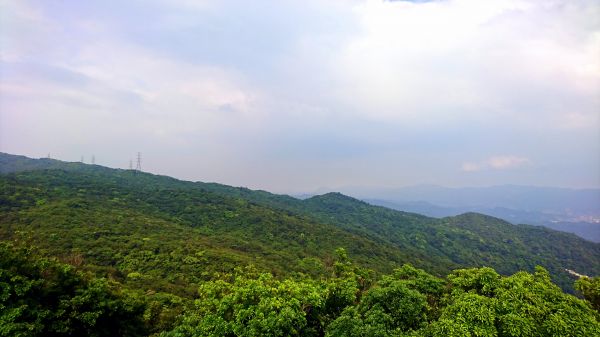 臺北内湖-大崙頭尾山親山步道327235