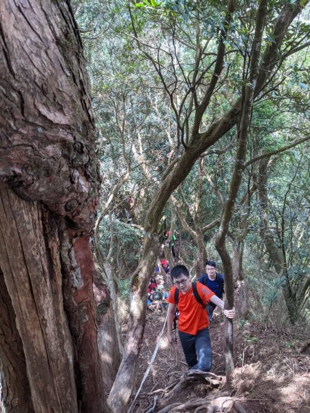 中級山-高島縱走2888425