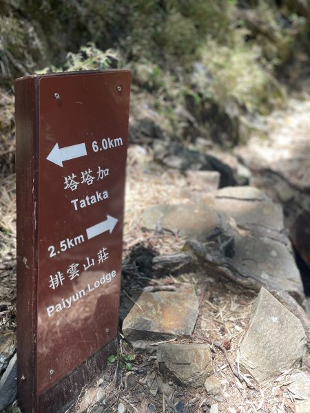 【健人HIKERS】兩天一夜玉山主峰、玉山西峰2769134