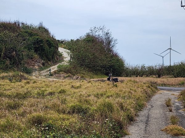20250101海口山、糠榔埔山、闖水窩山及大牛朝山2726188