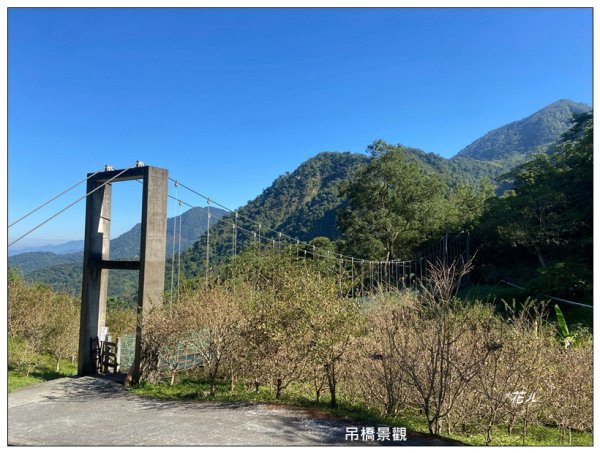 鳳凰谷鳥園步道2695890