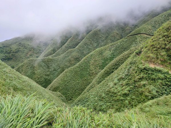 抹茶山 - 三角崙山/聖母山莊步道-小百岳#83-宜蘭縣礁溪鄉2238685