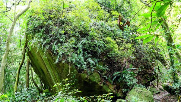 大邱田石門洞2856209