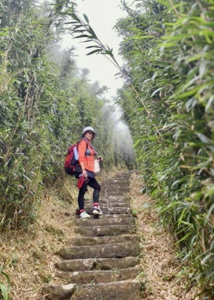 大屯山(小百岳# 001) &小油坑山2898865