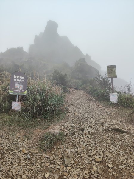 無無耳茶壺山2416584