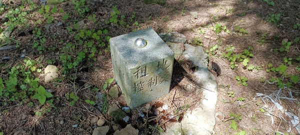 20220312_馬那邦山 細道邦山南峰 細道邦山1637072