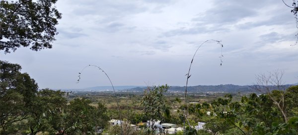 2026/02/27-荷苞山登山步道3010033