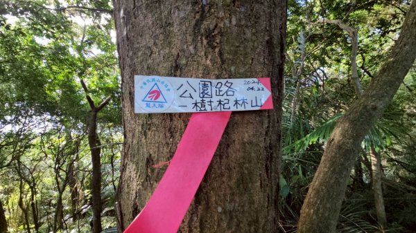 20251222竹東三山步道O型連走(樹杞林山、新具庄山、員崠子山)2975764