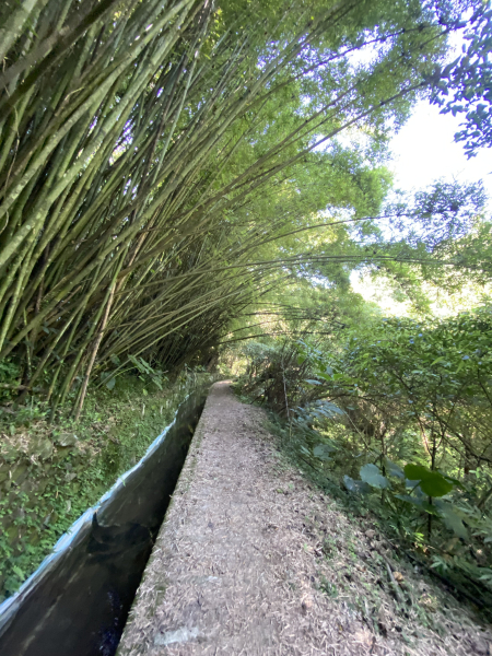 遺世古道的綠意與寧靜｜狗殷勤古道×至善園→平菁街健行路線