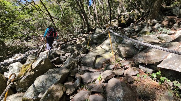 【谷關七雄】波津加(H1771.6m)肉腳配速成功2670437