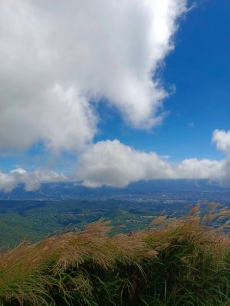 走遍陽明山2301761