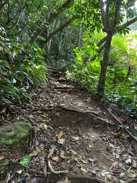 第二天蘭嶼之旅大天池步道和青青草原2117227