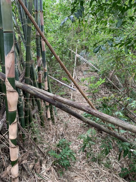 20250906台南蚵殼坑山-九層嶺-三十六崙山-洋子寮山2881504