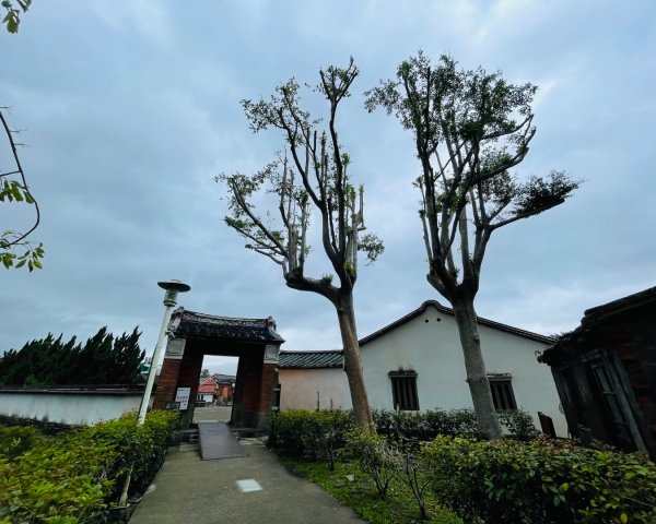 桃園大溪-花彩節🌼李騰芳古厝-月眉落雨松2934850