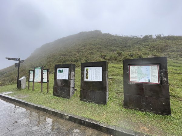 淒風苦雨的灣坑頭山2081178