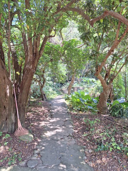 田中麒麟山森林步道202508172862013