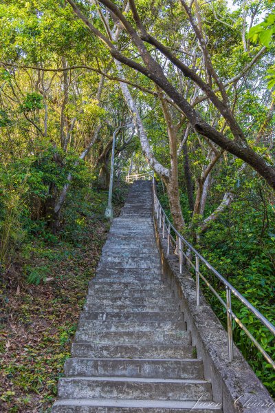 [台北]大崙頭山、碧山巖、忠勇山2746211