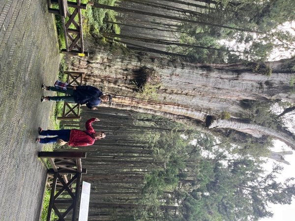 20240910～20240912_玉山行2855589