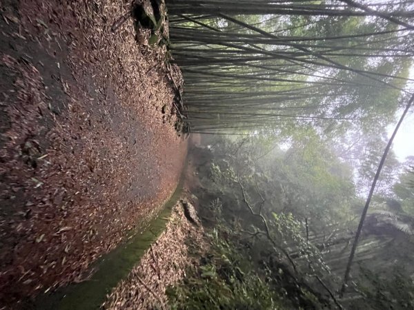 20230924_大湖尖山、大凍山（嘉義縣小百岳）2762741