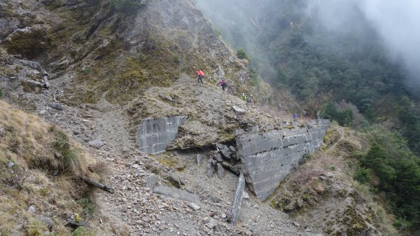 深藏在郡大林道被遺忘的明珠清水山、金子山、郡大山三日1943843