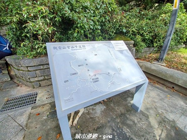 【新北八里】搭捷運公車爬山趣。 小百岳集起來。編號05小百岳-八里觀音山(硬漢嶺步道)1759642