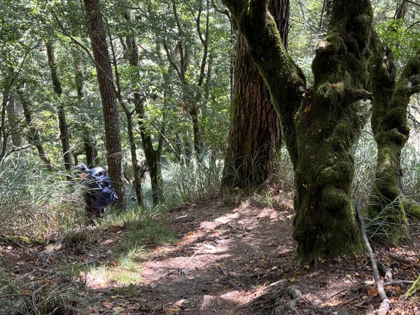 屏風山屋住一晚2916010