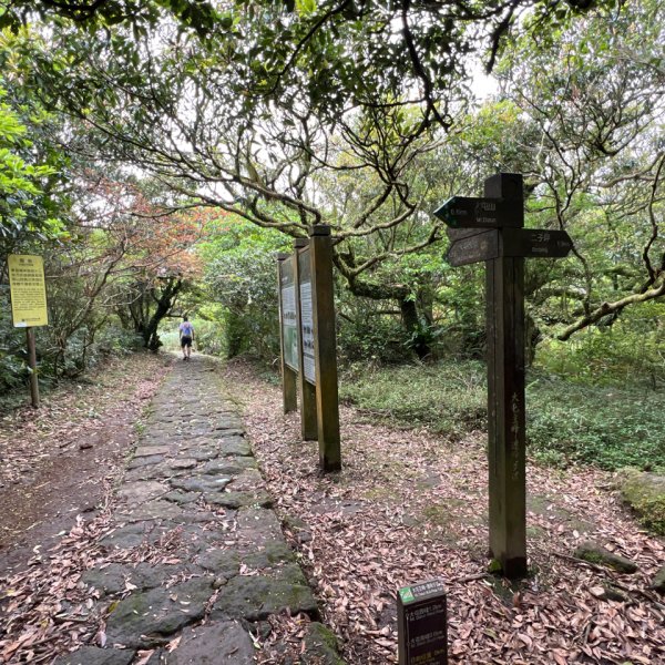 4/12台北大縱走第二段小油坑到二子坪2763650