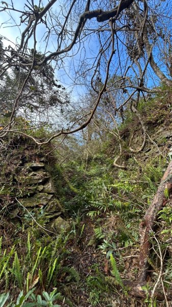 芃芃山西北稜大內台2693939