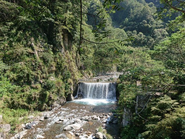 八仙山國家森林遊樂區1477374