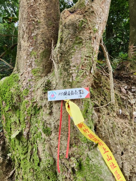 112/2/23龍鳳連稜2148201