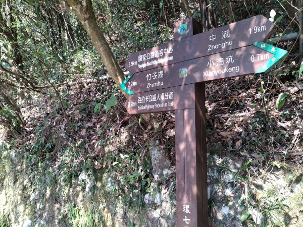 【臺北大縱走第二段】小油坑至二子坪完成1263065