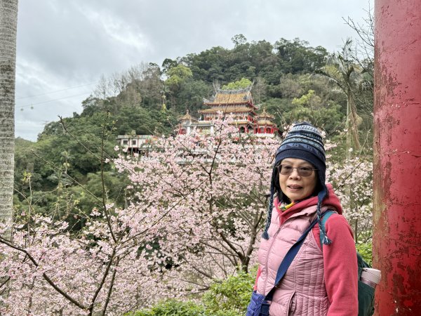 指南宮賞櫻2708132