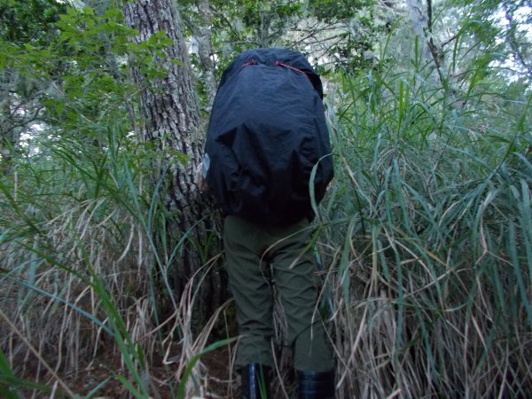 加卑里山縱走黑岩山出觀雲山莊1449958