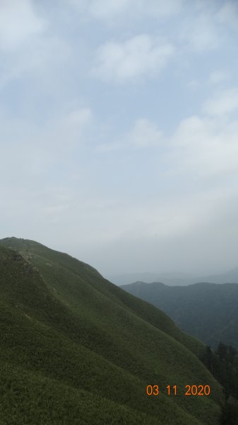 沒有意外，再度槓龜 !876561