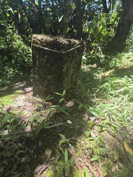 20260702中坑西山-仿山坑山-火燒寮古道下媚子寮3082290