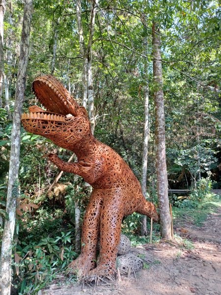 【南投魚池】澀水森林步道2933036