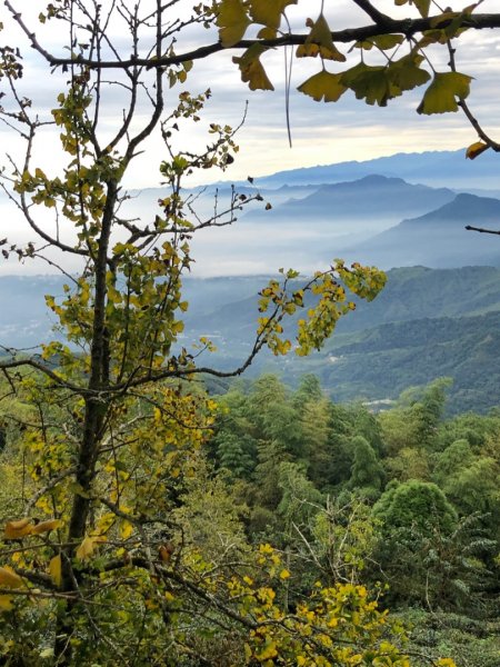 貓空望山、嶺頭山、金柑樹山（小百岳）、忘憂森林1897024